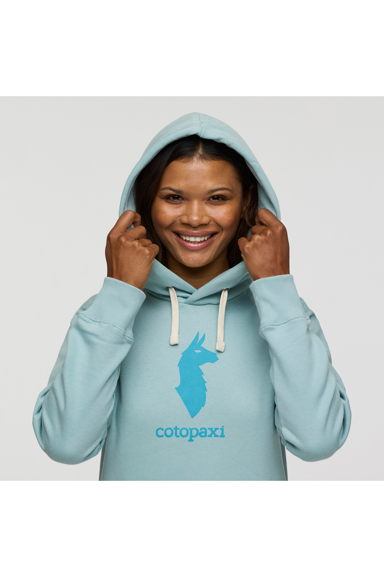 Llama Pullover Hoodie - Women's, Alternate, color, Cargo