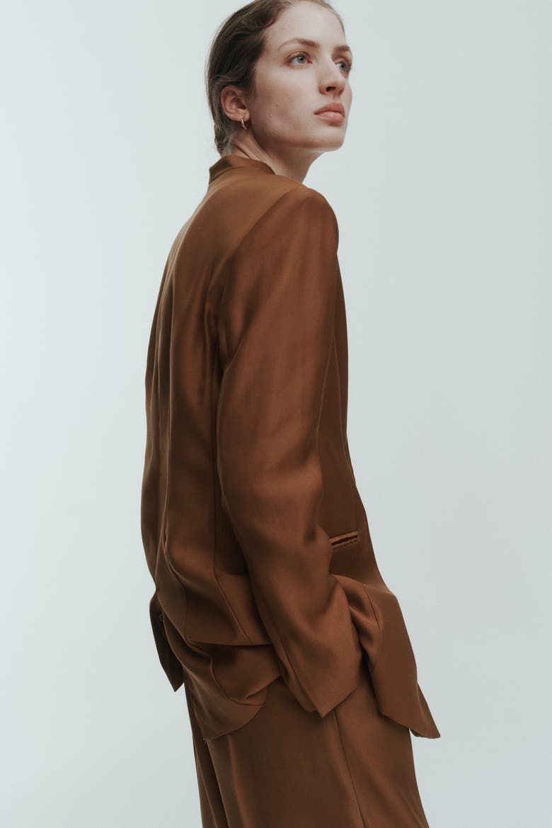 Lapelless Blazer, Alternate, color, Brown