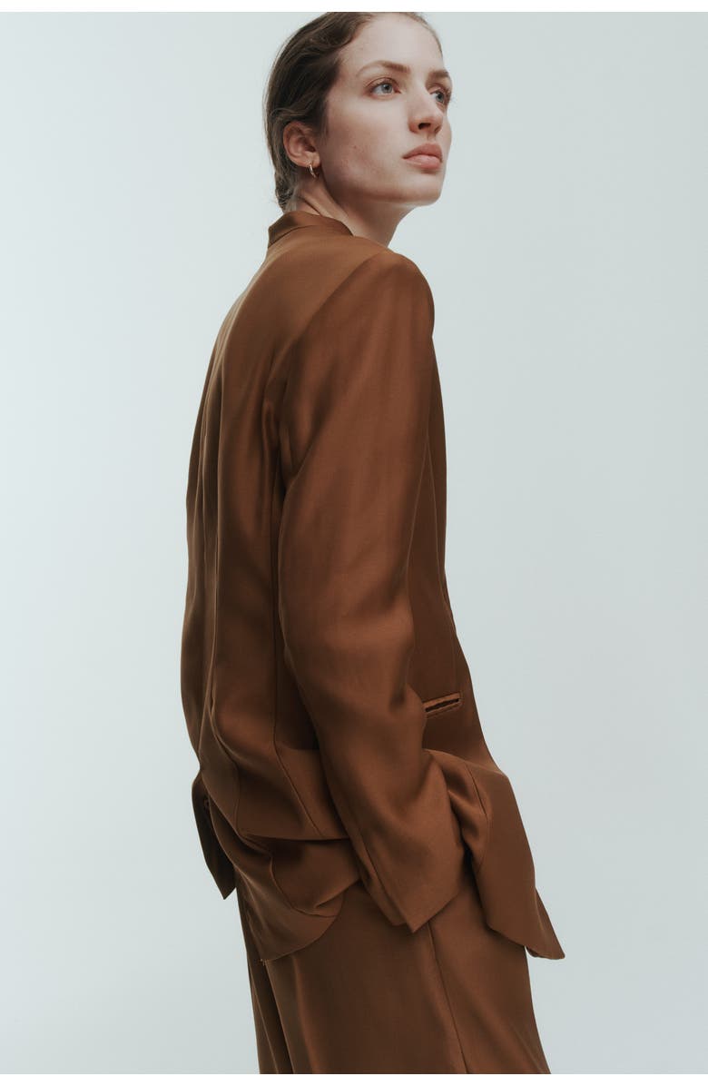 H&M Lapelless Blazer, Alternate, color, Brown