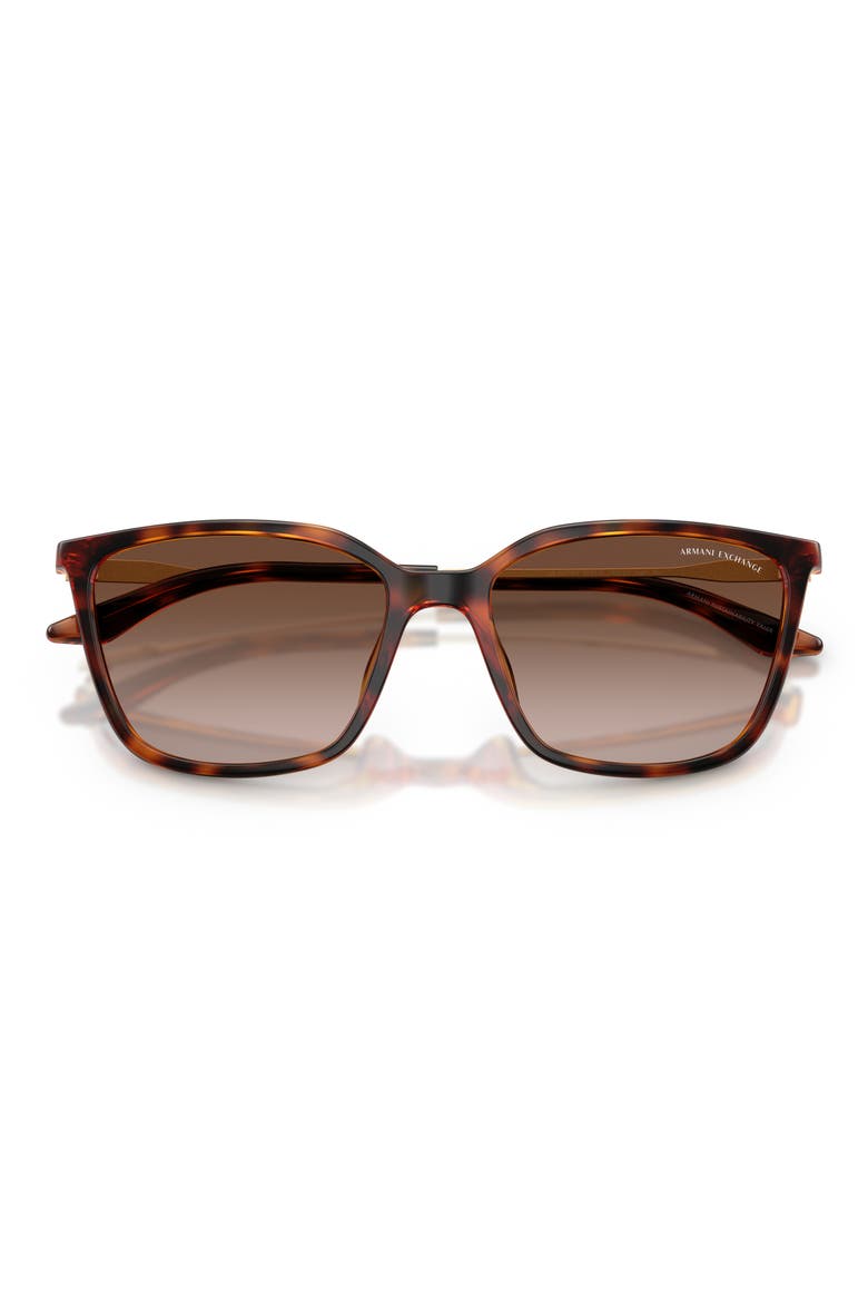 55mm Square Sunglasses, Alternate, color, SHINY HAVANA / BROWN GRADIENT