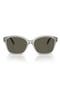 selected Shiny Opal Grey / Dark Brown