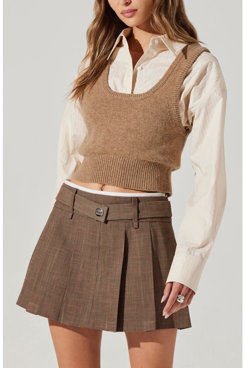 Eirwen Pleat Miniskirt, Alternate, color, BROWN