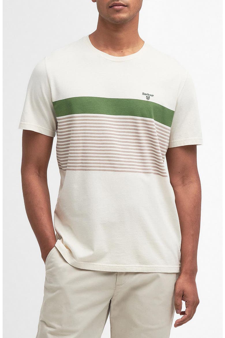 Braeside Stripe T-Shirt, Main, color, RAINY DAY