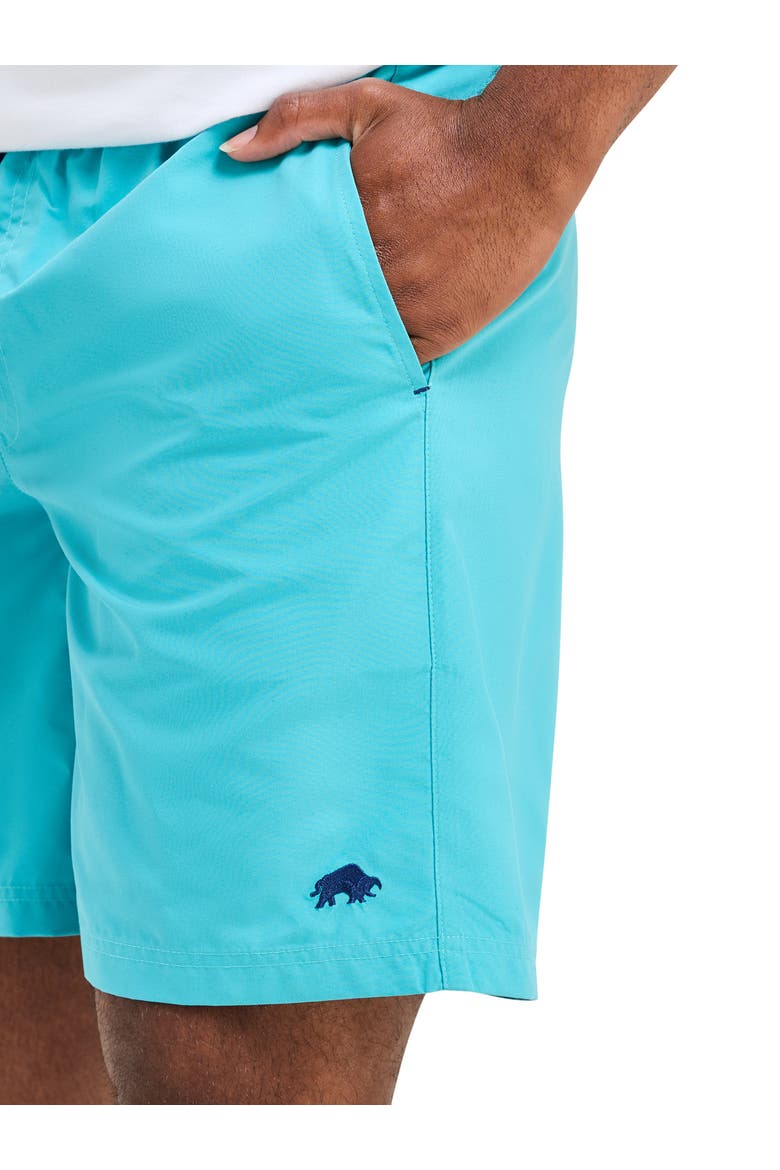 Swim Shorts, Alternate, color, Turquoise