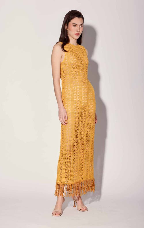 Shop Walter Baker Paula Dress In Havana Crochet Marigold