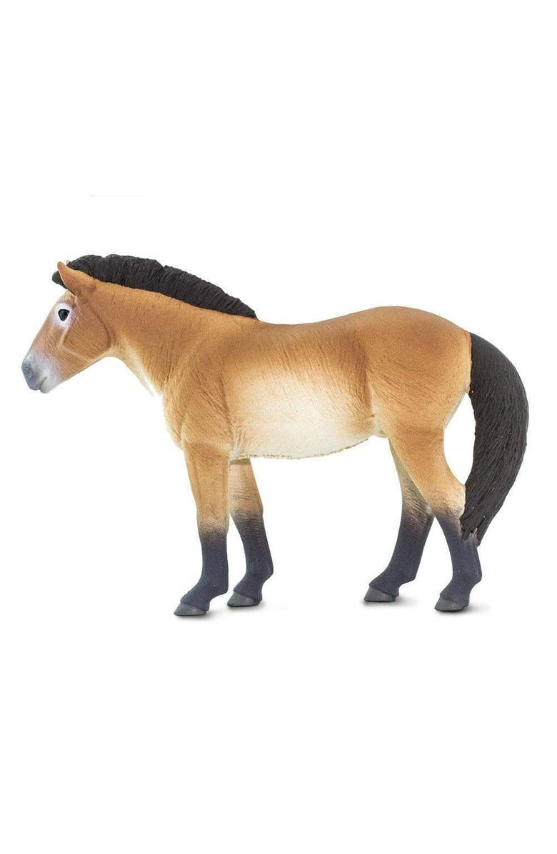 Safari Ltd. Przewalskis Horse Kids Toy Figure, Alternate, color, NO COLOR