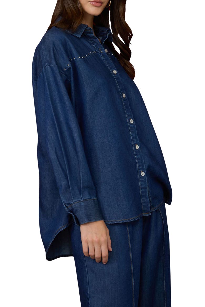 Denim Long Sleeve Button Down Shirt, Alternate, color, DENIM