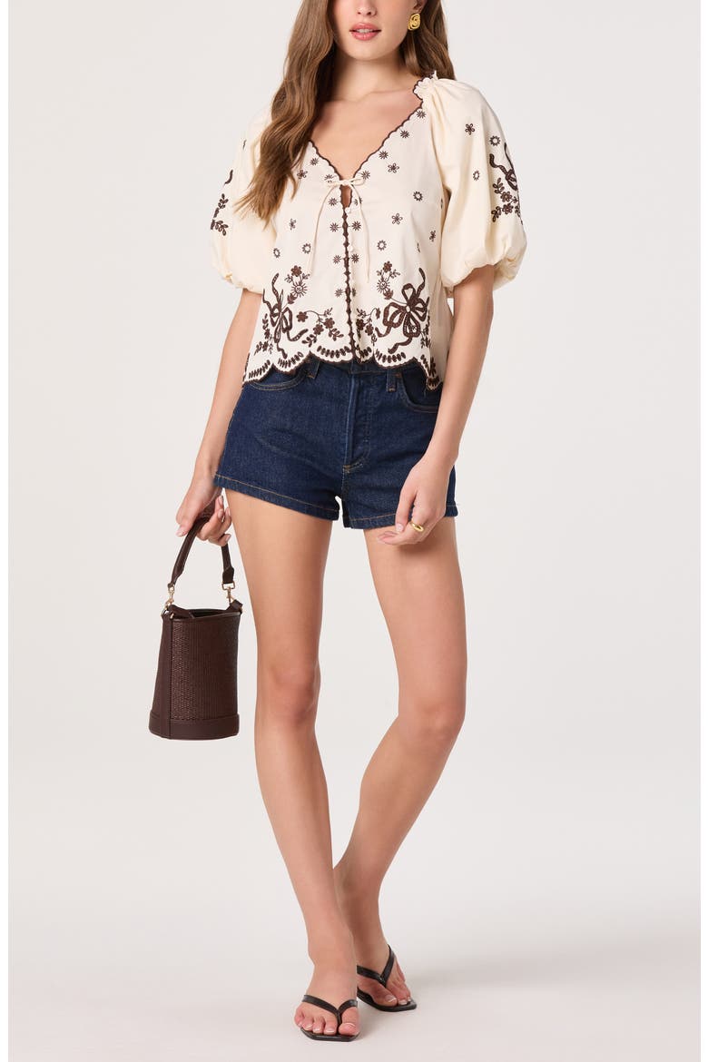 Lucia Embroidered Balloon Sleeve Top, Alternate, color, CREAM