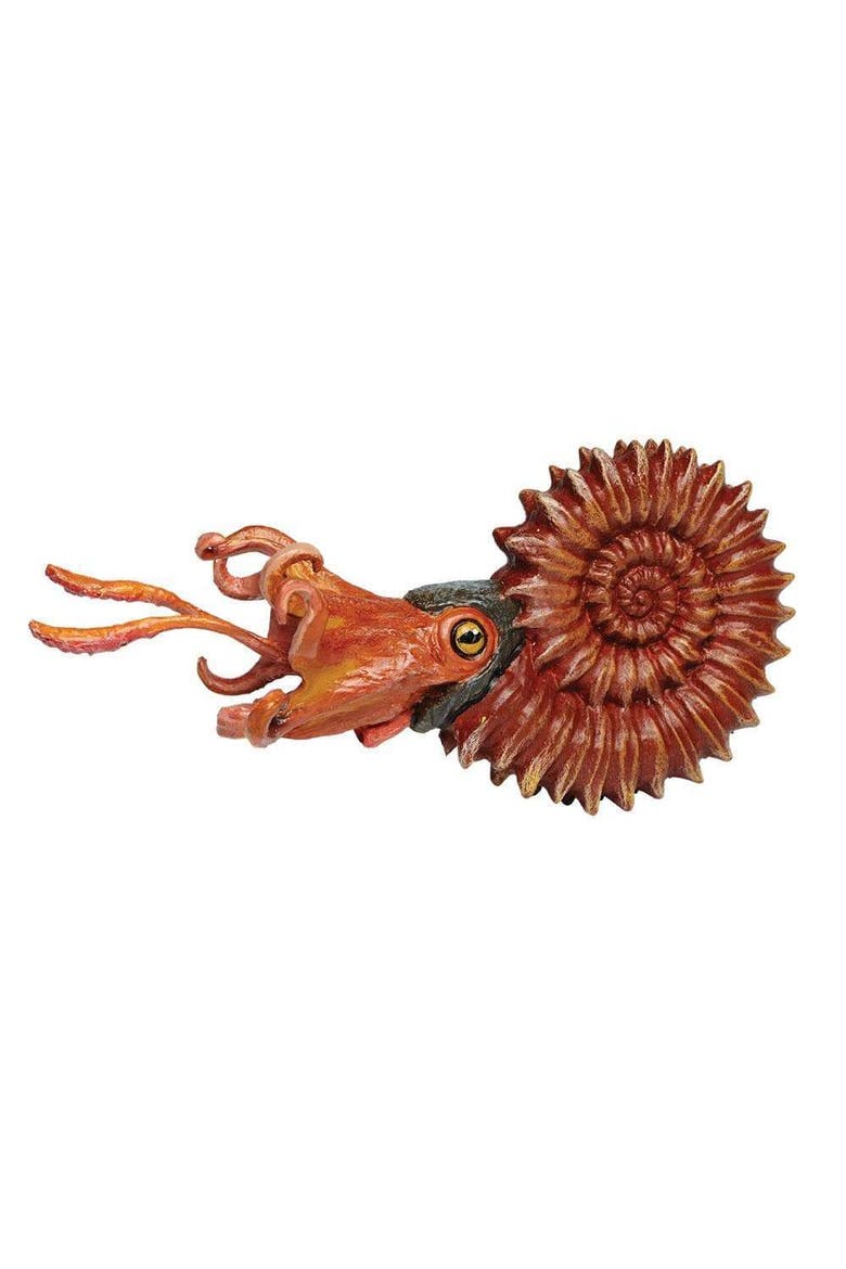 Ammonite Toy, Main, color, No Color