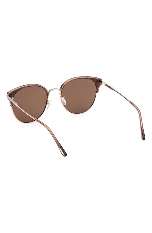 Tom Ford 61mm Round Sunglasses In Brown