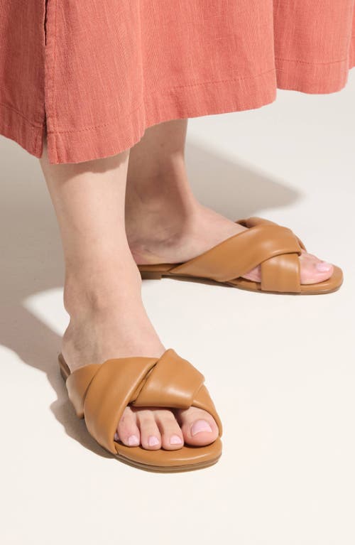 Yosi Samra Nancy Slide Sandal In Brown