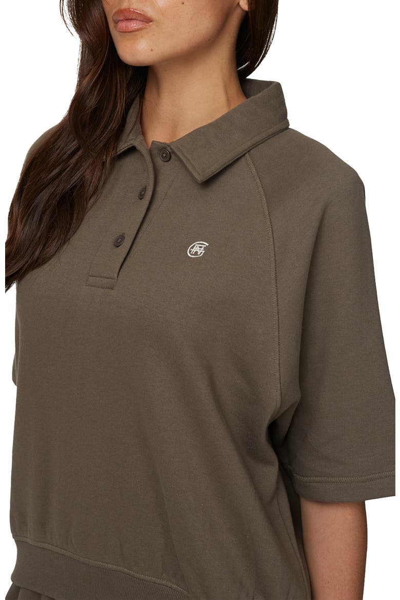 Boxy-Fit Raglan Sweat Polo, Alternate, color, Brown