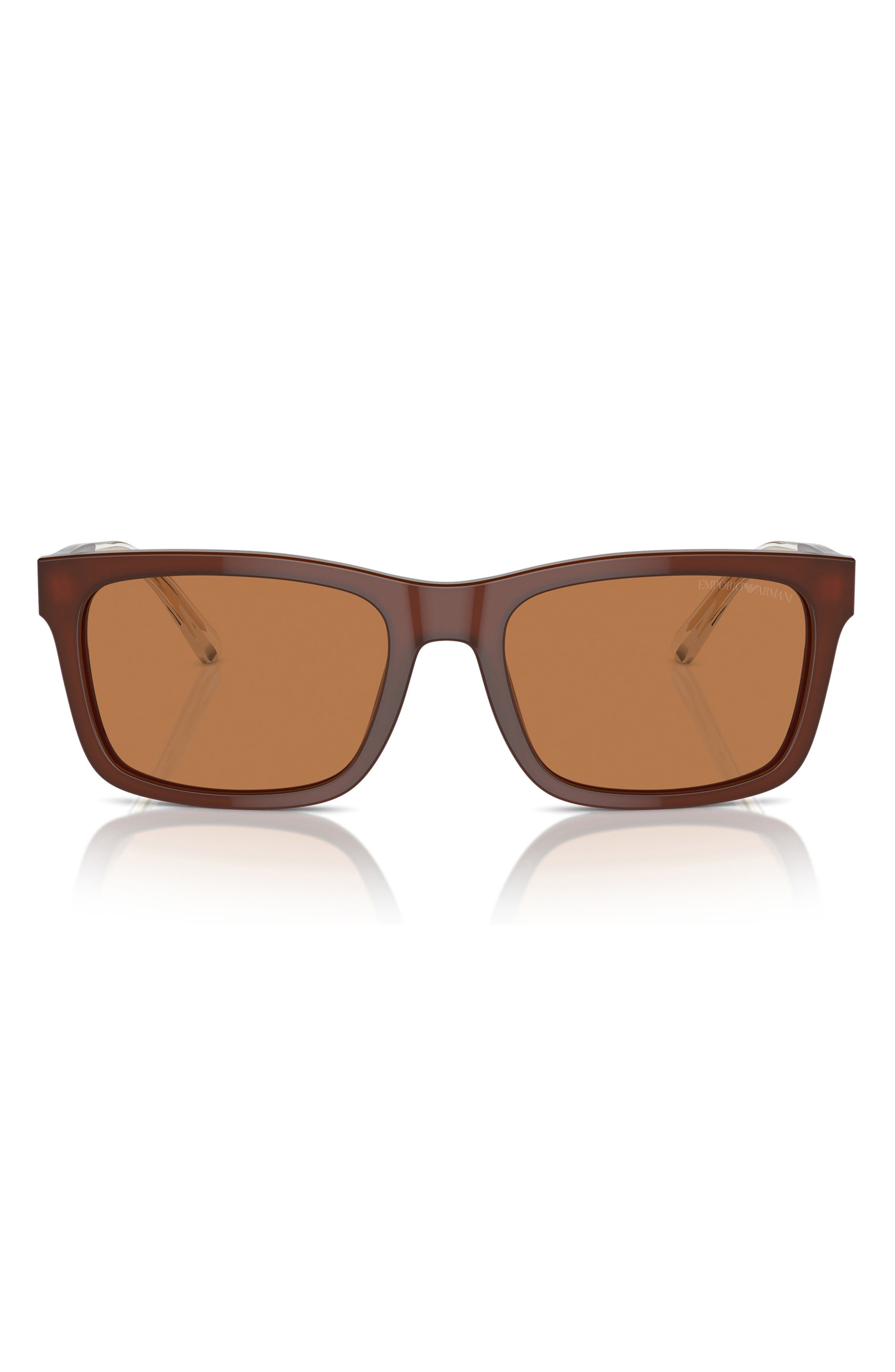 SHINY OPALINE BROWN / BROWN