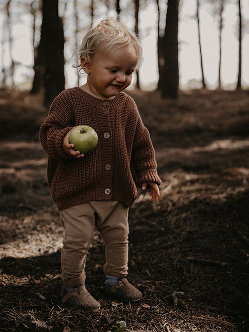 The Simple Folk The Chunky Cardigan In Rust