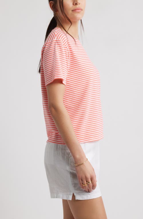 Caslonr Caslon(r) Stripe Crop T-shirt In Coral- White Beck Stripe