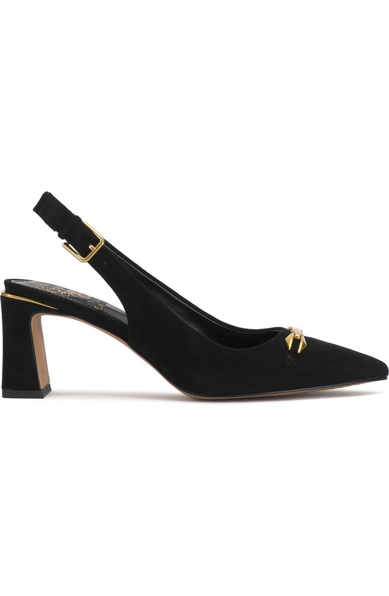 Vince Camuto Hamden Pointed Toe Slingback Pump, Alternate, color, Black