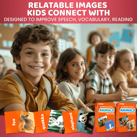 High Contrast & Vocabulary Flash Cards for Kids