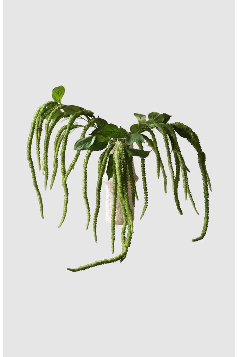 Green Three Forks Amaranthus Flower, Alternate, color, Green