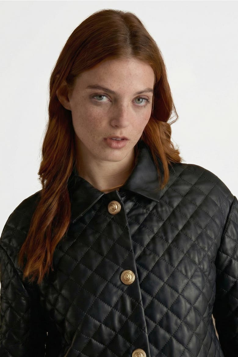 Holland Quilted Leather Coat, Alternate, color, Black