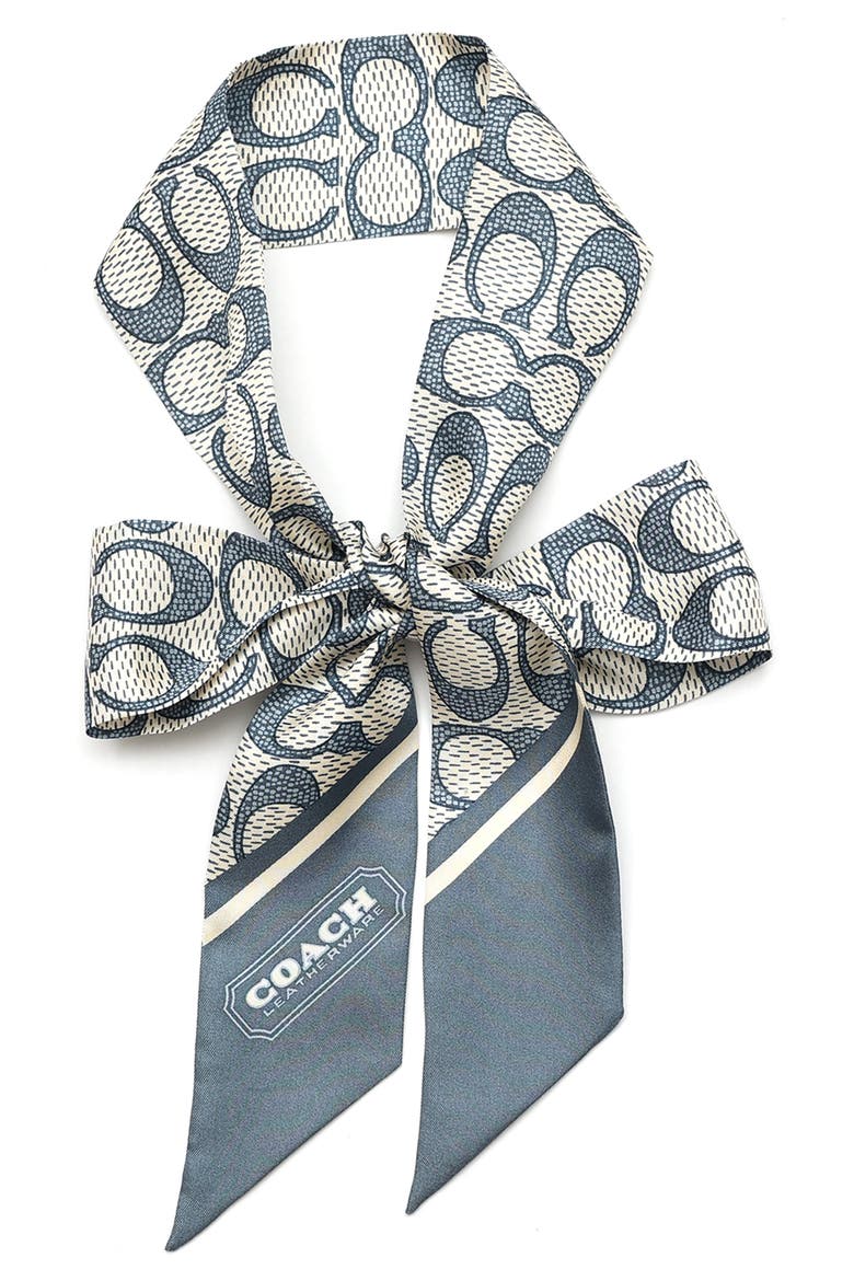 Textured Signature Print Silk Skinny Scarf, Alternate, color, LIGHT DENIM