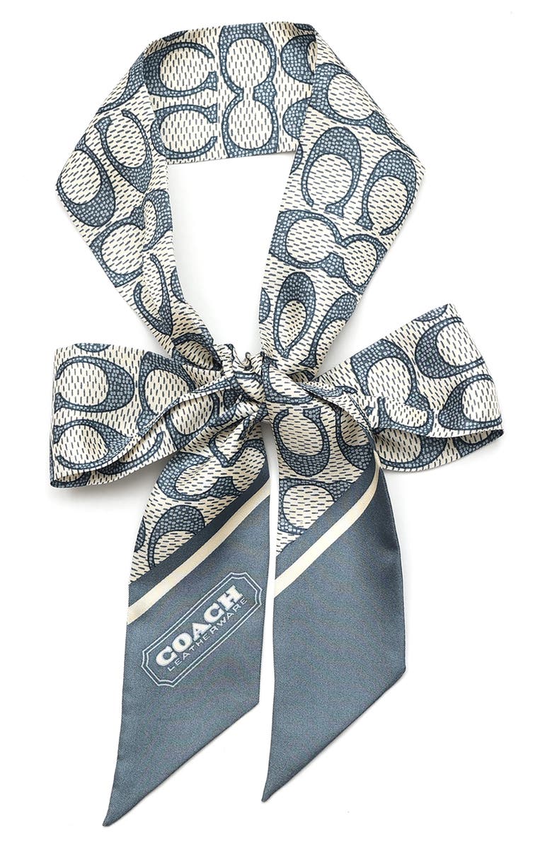 COACH Textured Signature Print Silk Skinny Scarf, Alternate, color, Light Denim