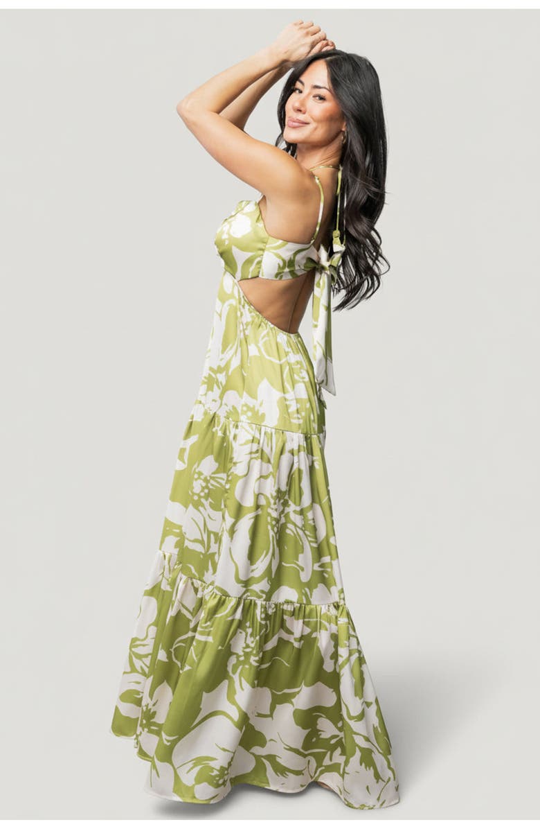 Baltic Børn Querida Maxi Dress, Alternate, color, Green Floral