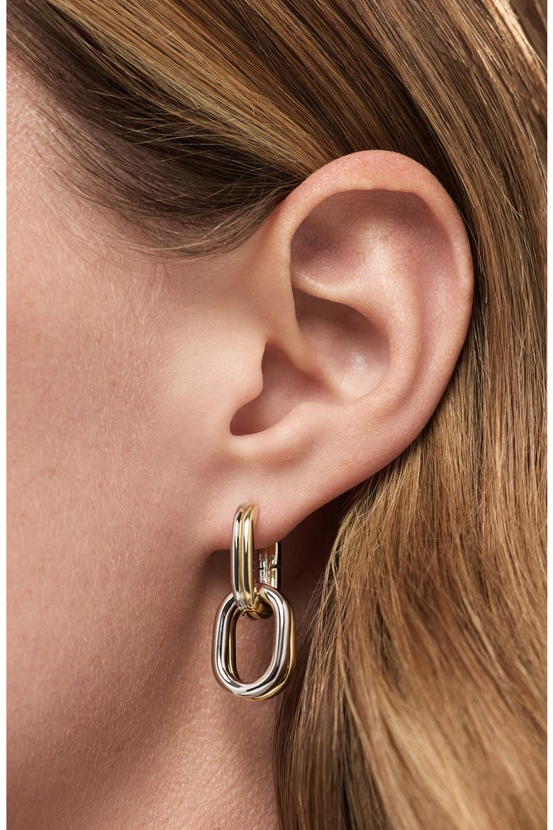 Ash Two-Tone Double Hoop Earrings, Alternate, color, GOLD / SILVER