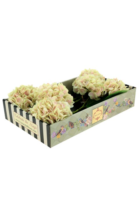 Vibrant Hydrangea Natural Touch, Box of 6