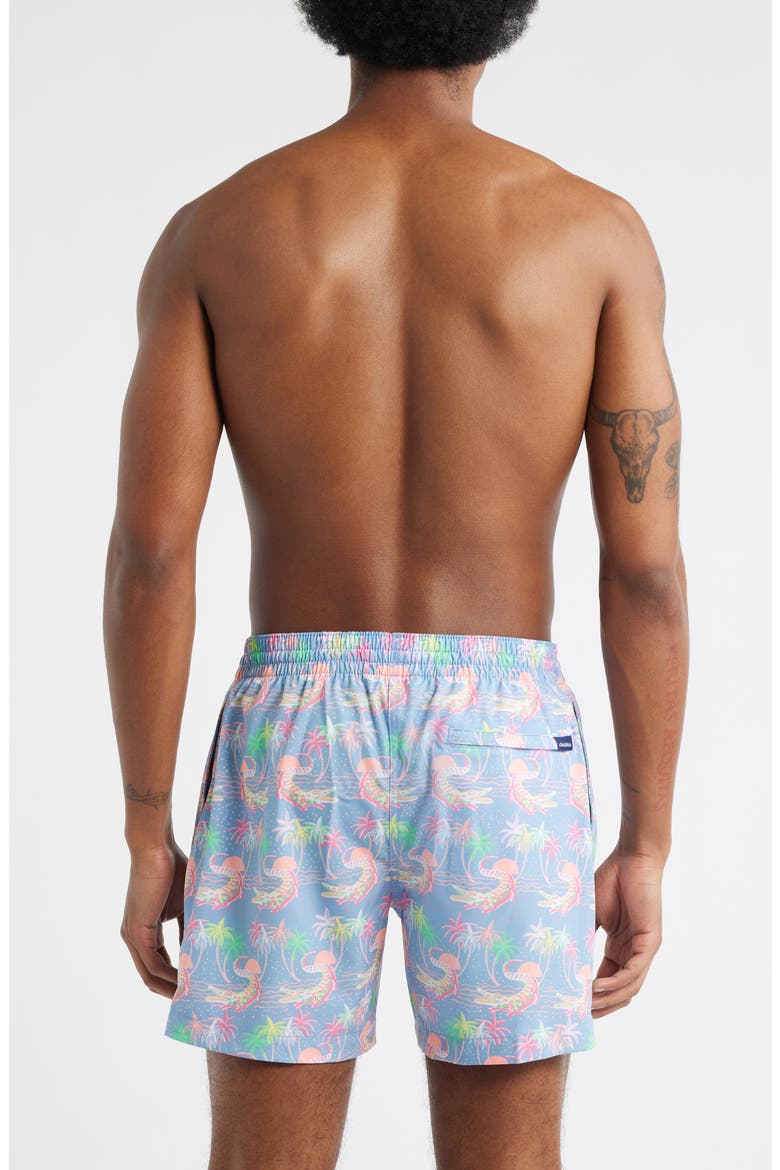 Rock-a-Crocks Lined 5.5-Inch Swim Trunks, Alternate, color, DUSTY BLUE