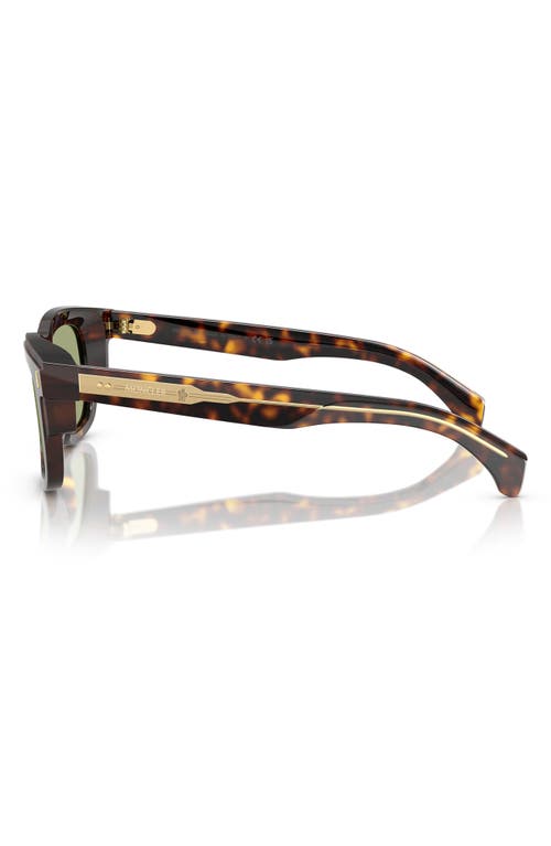 Moncler Claro 51mm Polarized Square Sunglasses In Tortoise
