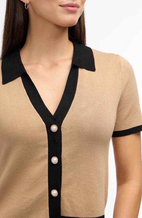 Ellen Tracy Tipped Polo Sweater In Camel