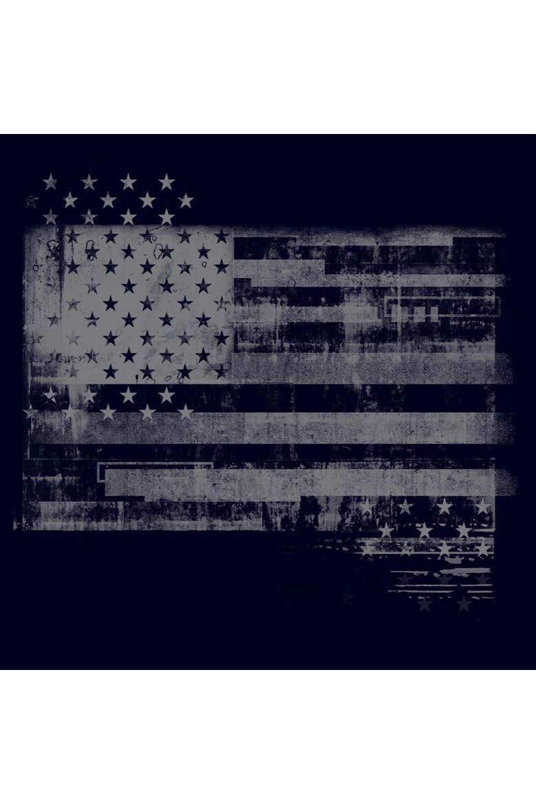 Men's Lost Gods Monochromatic American Flag  Graphic T-Shirt, Alternate, color, Navy Blue