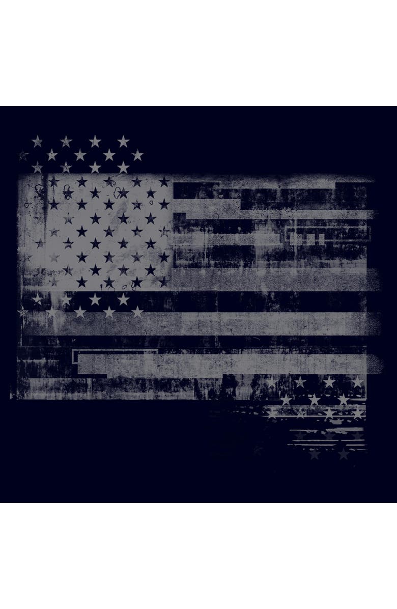 Lost Gods Men's Lost Gods Monochromatic American Flag  Graphic T-Shirt, Alternate, color, Navy Blue