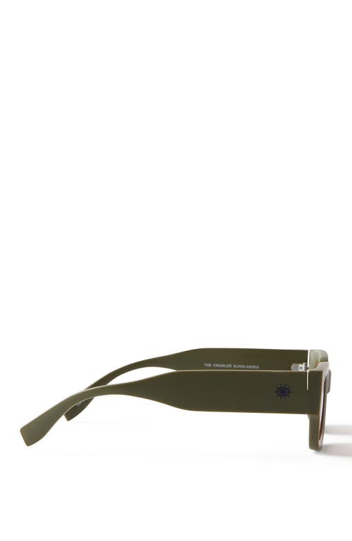 Cotton On The Crawler Sunglasses In Green