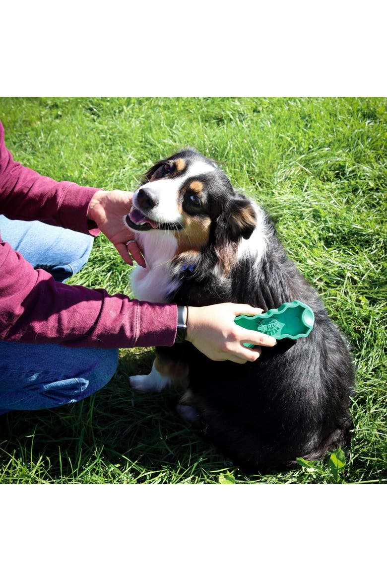 Deshedding Tool For Large Dogs, Alternate, color, Green