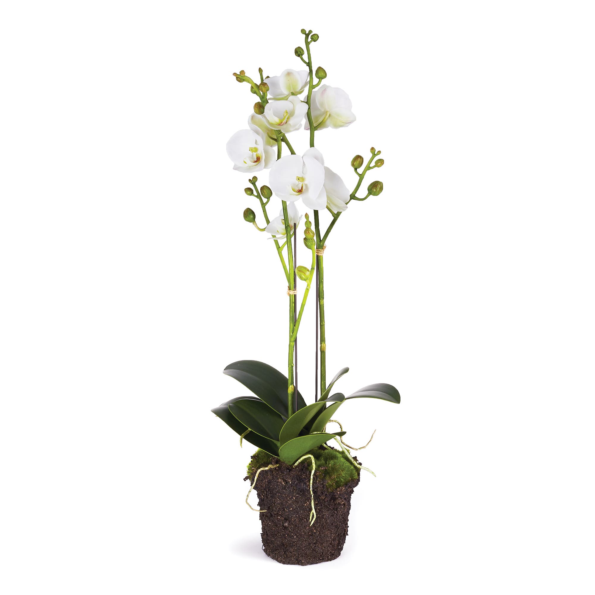 selected White