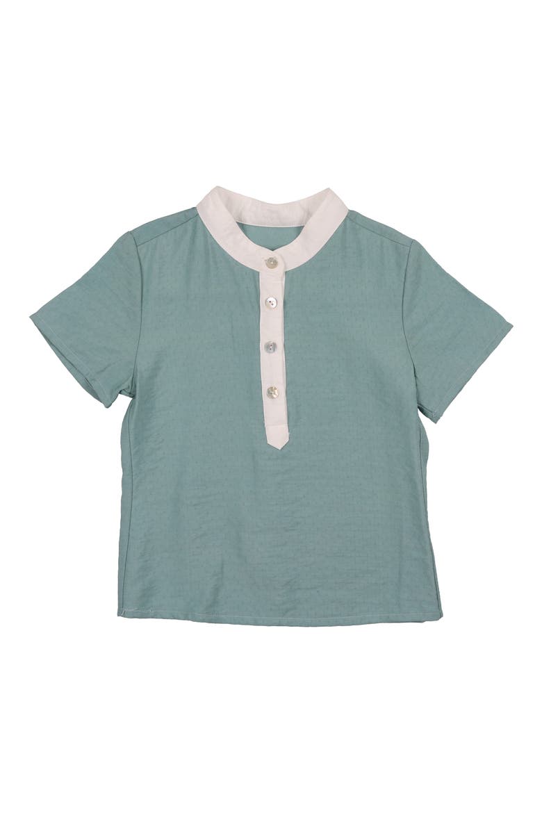 Dotted Mock Neck Henley, Main, color, SAGE