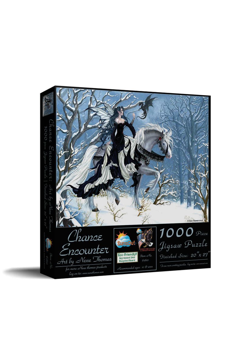 Chance Encounter 1000 piece Jigsaw Puzzle for Adults, Main, color, Multicolor