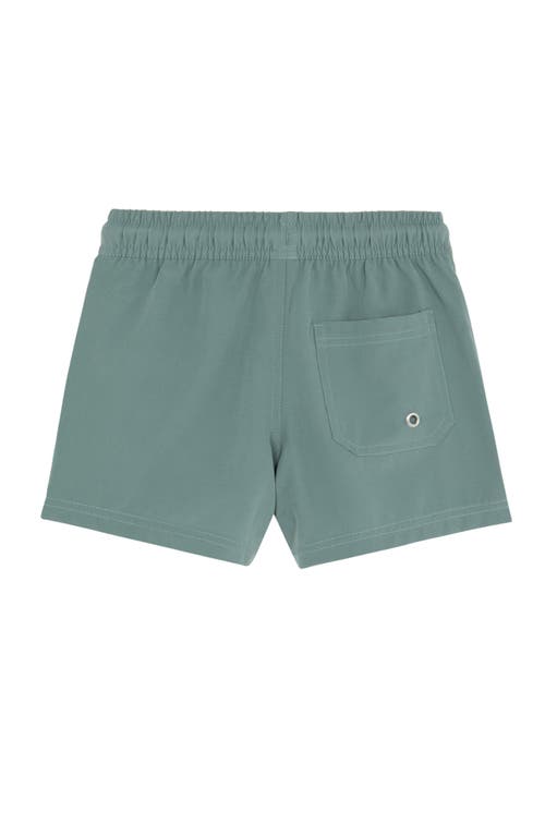Gottex Kids Boys 2 Match Drawstring Swim Shorts In Green