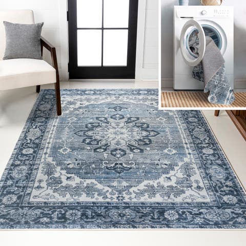 Asa Ornate Medallion Machine-Washable Area Rug