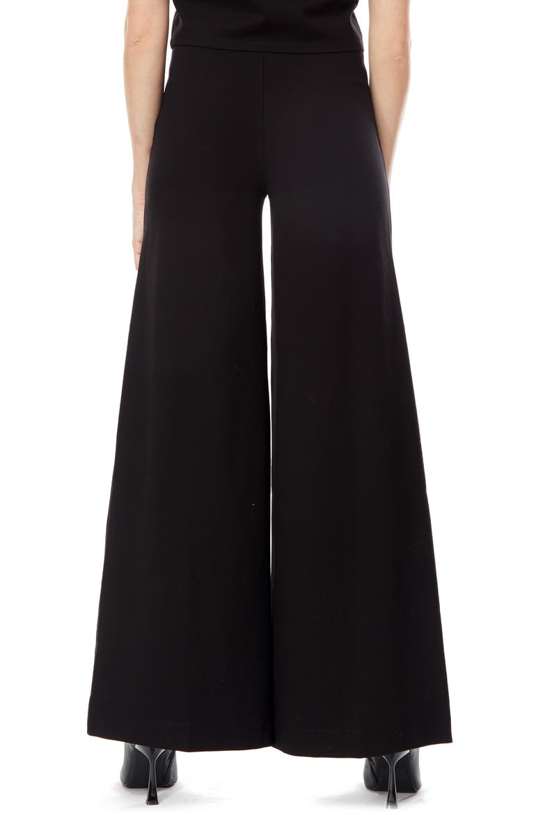 Juliette Wide Leg Pants, Alternate, color, BLACK