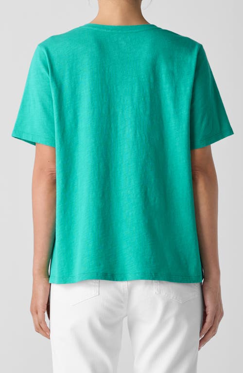 Eileen Fisher Easy V-neck Organic Cotton T-shirt In Jade