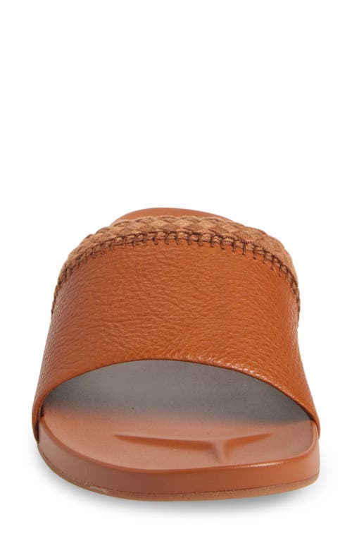 Olukai Pākea Leather Slide Sandal In Brown