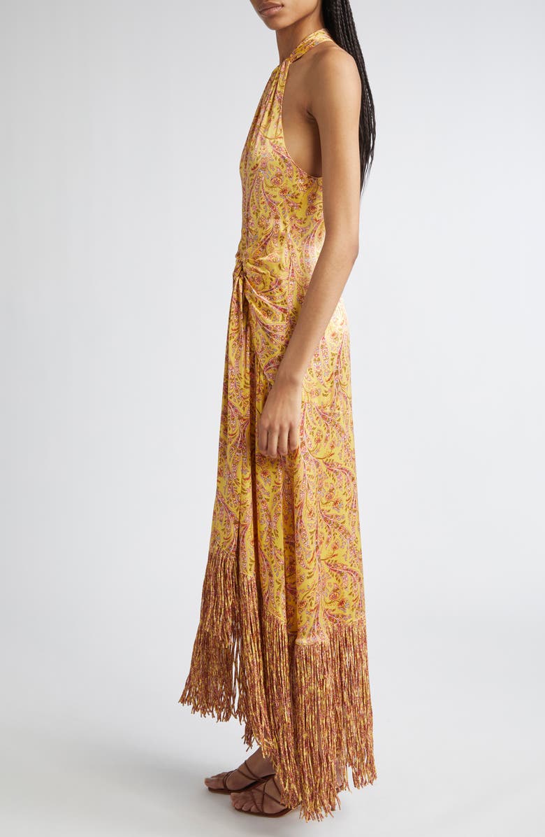 Cinq à Sept Teresa Charming Paisley Fringe Hem Maxi Dress, Alternate, color, Lemon Grass Multi