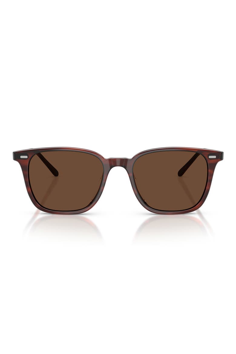 52mm Laedin Polarized Square Sunglasses, Main, color, MORADO TORTOISE / TERRA POLAR