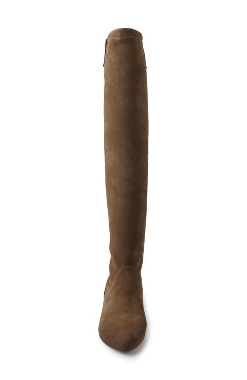 Zigi Beretta Knee High Boot In Brown