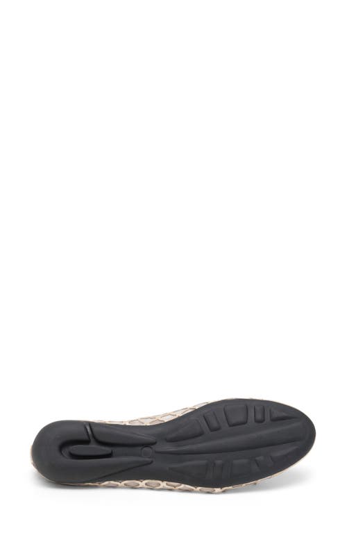 Paul Mayer Brandy Mesh Ballet Flat