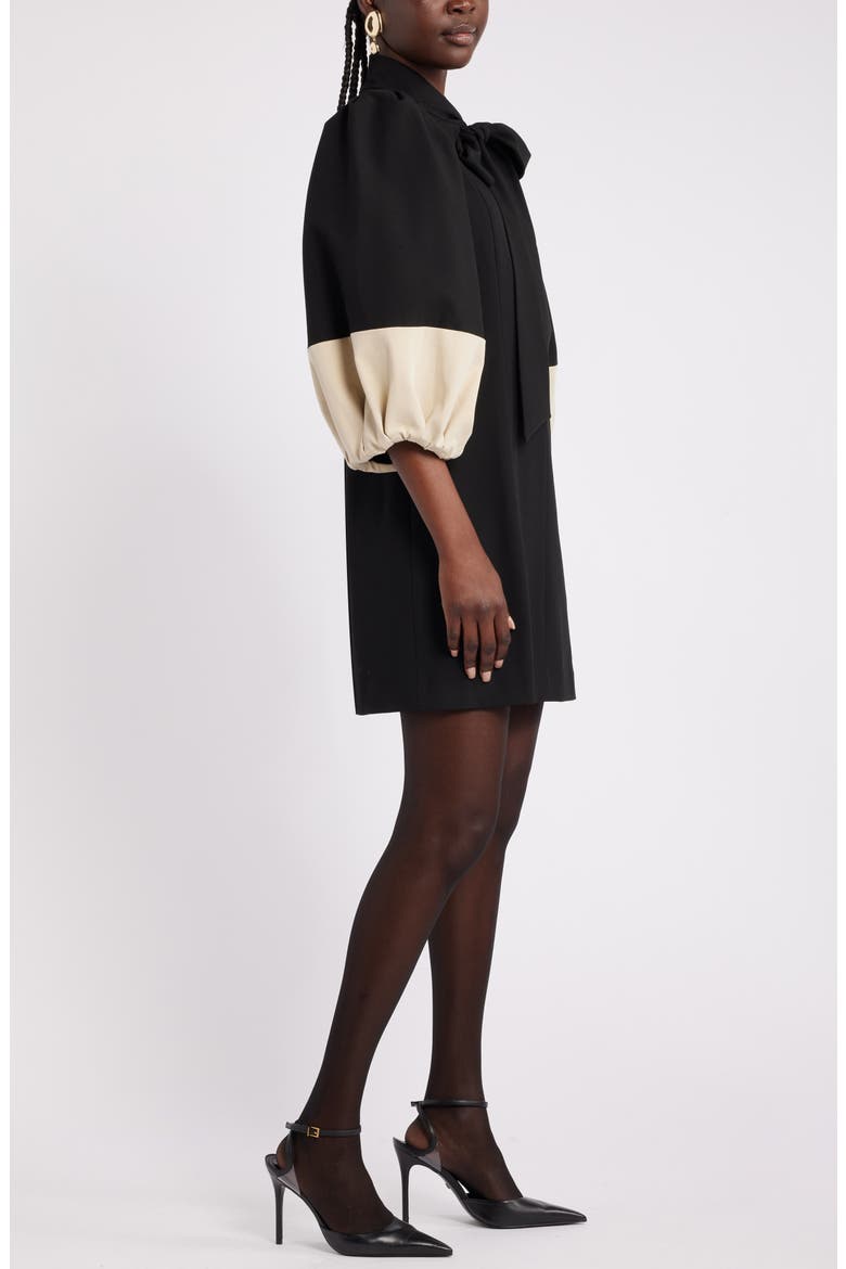 Harbison Balloon Long Sleeve Minidress, Alternate, color, BLACK- TAN COLORBLOCK