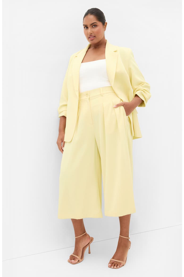 Abbie Crop Wide Leg Pants, Alternate, color, LEMON DROP