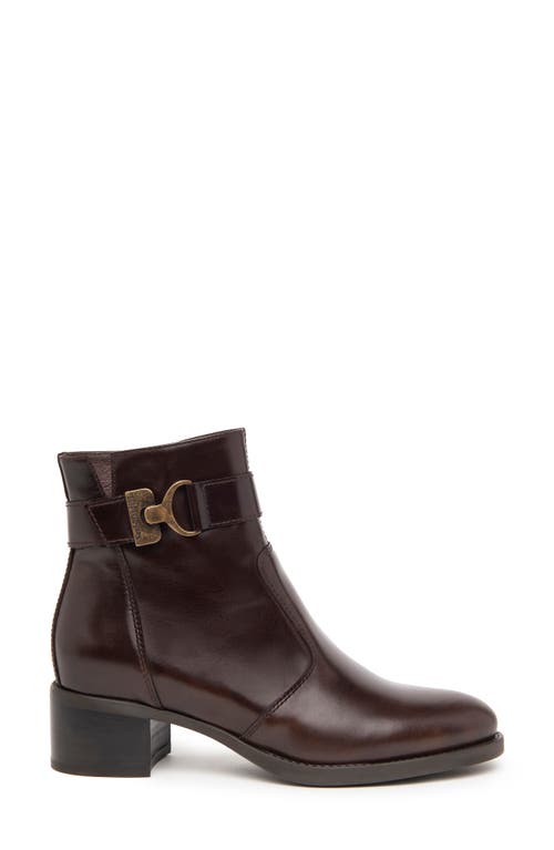Nerogiardini Ankle Strap Bootie In Brown